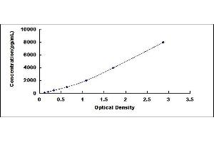 Typical standard curve (SERPINH1 Kit ELISA)