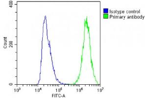 anti-MIF4G Domain Containing (MIF4GD) (AA 137-169) antibody