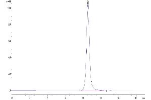 The purity of Human DDR1 is greater than 95 % as determined by SEC-HPLC. (DDR1 Protein (AA 21-417) (His tag))