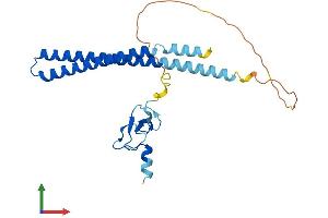 AlphaFold protein structure predicition of Mouse Recombinant Ing5 Protein, UniprotID Q9D8Y8