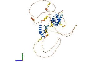 AlphaFold protein structure predicition of Mouse Recombinant Pou2f2 Protein, UniprotID Q00196