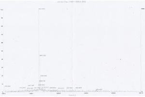 Image no. 1 for Von Willebrand Factor (VWF) peptide (Ovalbumin) (ABIN5666415)