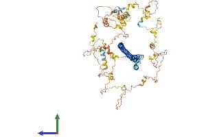 AlphaFold protein structure predicition of Human Recombinant NCOA4 Protein, UniprotID Q13772