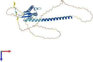 AlphaFold protein structure predicition of Human Recombinant SNX16 Protein, UniprotID P57768