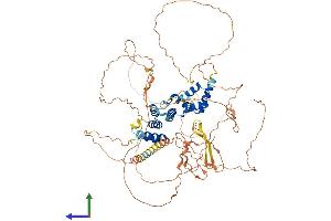 AlphaFold protein structure predicition of Human Recombinant SIX5 Protein, UniprotID Q8N196