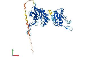 AlphaFold protein structure predicition of Mouse Recombinant Cmas Protein, UniprotID Q99KK2