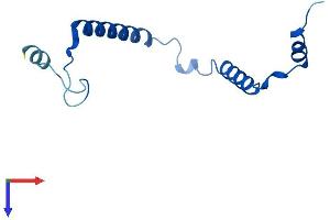AlphaFold protein structure predicition of Human Recombinant MRPL57 Protein, UniprotID Q9BQC6