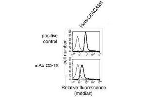 Flow Cytometry (FACS) image for anti-Carcinoembryonic Antigen-Related Cell Adhesion Molecule 1 (CEACAM1) antibody (ABIN614759) (CEACAM1 anticorps)