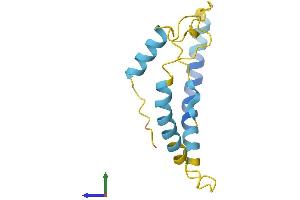 AlphaFold protein structure predicition of Human Recombinant KCNE1 Protein, UniprotID P15382