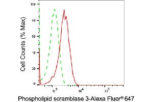 Flow cytometric analysis of Phospholipid scramblase 3 expression in H9c2 cells using Phospholipid scramblase 3 antibody (ABIN7799827), 1:2,000).