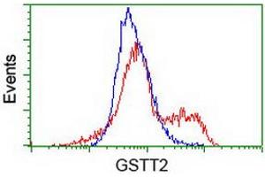 HEK293T cells transfected with either RC200040 overexpress plasmid (Red) or empty vector control plasmid (Blue) were immunostained by anti-GSTT2 antibody (ABIN2453887), and then analyzed by flow cytometry. (GSTT2 anticorps)