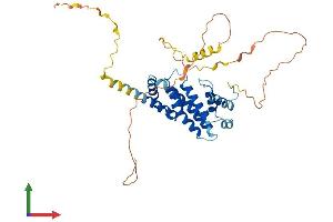AlphaFold protein structure predicition of Mouse Recombinant Prr5l Protein, UniprotID A2AVJ5