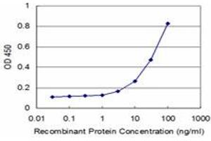Detection limit for recombinant GST tagged NFKBIB is approximately 3ng/ml as a capture antibody. (NFKBIB anticorps  (AA 56-145))