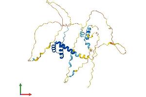 AlphaFold protein structure predicition of Human Recombinant RAX Protein, UniprotID Q9Y2V3
