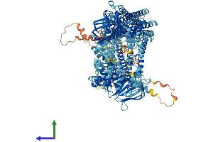 AlphaFold protein structure predicition of Mouse Recombinant Abcc3 Protein, UniprotID B2RX12