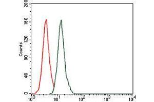 Flow cytometric analysis of HeLa cells using mouse Splunc2 mouse mAb (green) and negative control (red).