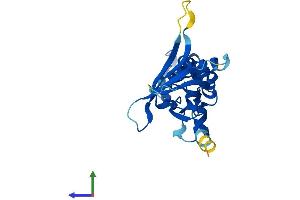 AlphaFold protein structure predicition of Human Recombinant ZFYVE21 Protein, UniprotID Q9BQ24