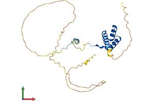 AlphaFold protein structure predicition of Human Recombinant HOXC6 Protein, UniprotID P09630