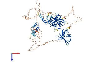 AlphaFold protein structure predicition of Mouse Recombinant Grhl3 Protein, UniprotID Q5FWH3