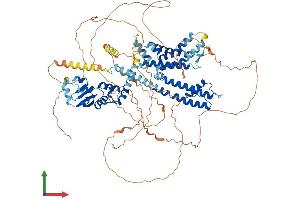 AlphaFold protein structure predicition of Mouse Recombinant Kcnb2 Protein, UniprotID A6H8H5
