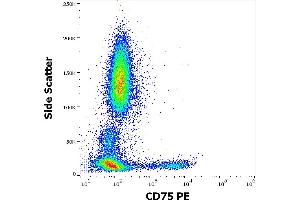 Flow cytometry surface staining pattern of human peripheral whole blood stained using anti-human CD75 (LN1) PE antibody (10 μL reagent / 100 μL of peripheral whole blood). (ST6GAL1 anticorps  (PE))