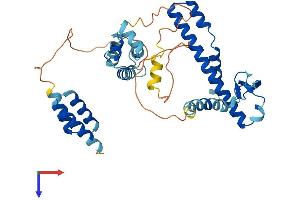 AlphaFold protein structure predicition of Mouse Recombinant Dnajb14 Protein, UniprotID Q149L6