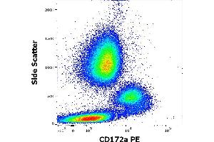 Anti-human CD172a PE antibody (clone 15-414) works in flow cytometry application. (SIRPA anticorps  (PE))
