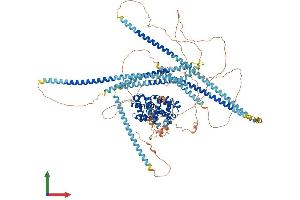 AlphaFold protein structure predicition of Human Recombinant PPFIA3 Protein, UniprotID O75145