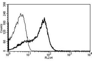 Flow Cytometry (FACS) image for anti-CD7 (CD7) antibody (PE) (ABIN1106544) (CD7 anticorps  (PE))