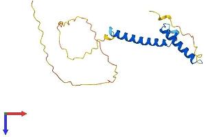 AlphaFold protein structure predicition of Mouse Recombinant Ascl3 Protein, UniprotID Q9JJR7