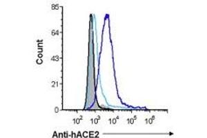 Black histograms represent the background staining of 293T parental cells and gray-filled histograms represents background staining of 293T-ACE2 cells.