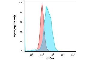 Flow Cytometric Analysis of PFA-fixed Ramos cells. (CD86 anticorps)