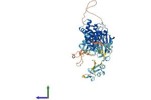 AlphaFold protein structure predicition of Mouse Recombinant Limk1 Protein, UniprotID P53668