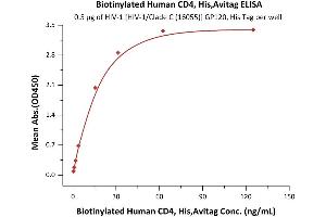 Immobilized HIV-1 [HIV-1/Clade C (16055)] GP120, His Tag (4) at 5 μg/mL (100 μL/well) can bind Biotinylated Human CD4, His,Avitag (ABIN5674592,ABIN6253670) with a linear range of 1-16 ng/mL (Routinely tested). (CD4 Protein (CD4) (AA 26-396) (His tag,AVI tag,Biotin))