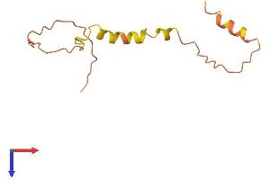 AlphaFold protein structure predicition of Human Recombinant TSPO Protein, UniprotID B1AH88