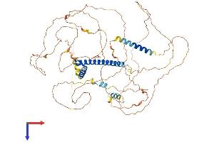 AlphaFold protein structure predicition of Human Recombinant TCF12 Protein, UniprotID Q99081