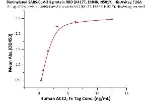 Immobilized Biotinylated SARS-CoV-2 S protein RBD (K417T, E484K, N501Y), His,Avitag (ABIN6992372) at 1 μg/mL (100 μL/well) on streptavidin  precoated (0.