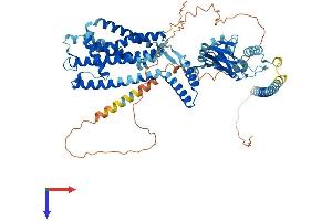 AlphaFold protein structure predicition of Human Recombinant CNGA3 Protein, UniprotID Q16281