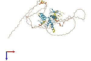 AlphaFold protein structure predicition of Mouse Recombinant Ikzf2 Protein, UniprotID P81183