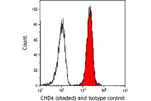 Flow Cytometry (FACS) image for anti-Chromodomain Helicase DNA Binding Protein 4 (CHD4) antibody (ABIN7453323) (Recombinant CHD4 anticorps)