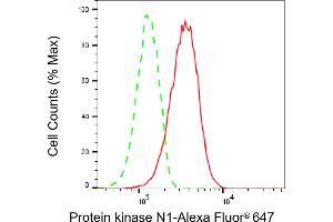 Flow cytometric analysis of Protein kinase N1 expression in C2C12 cells using Protein kinase N1 antibody (ABIN7800005), 1:2,000).