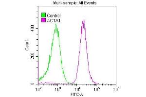 Overlay histogram showing Hela cells stained with ABIN7127272 (red line) at 1:50.