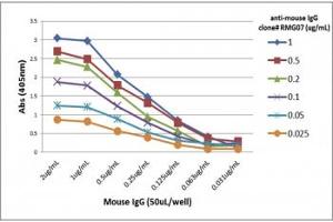 ELISA Titration: the plate was coated with different amounts of mouse IgG.
