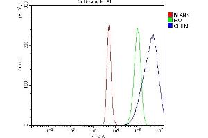 Flow Cytometry analysis of A431 cells using anti-GHITM antibody (ABIN7599294). (GHITM anticorps  (AA 1-345))