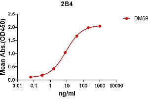 ELISA plate pre-coated by 2 μg/mL (100 μL/well) Human 2B4 protein, mFc-His tagged protein ABIN6961083, ABIN7042195 and ABIN7042196 can bind Rabbit anti-2B4 monoclonal antibody (clone: DM69) in a linear range of 1-100 ng/mL.