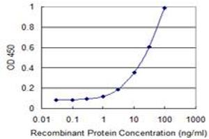 Detection limit for recombinant GST tagged UBASH3A is 0.
