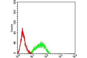Flow cytometric analysis of HL-60 cells using RAB27B mouse mAb (green) and negative control (red). (RAB27B anticorps  (AA 2-218))