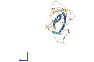 AlphaFold protein structure predicition of Mouse Recombinant Tbkbp1 Protein, UniprotID A2A9T0