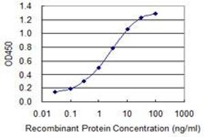 Detection limit for recombinant GST tagged EIF4G1 is 0.
