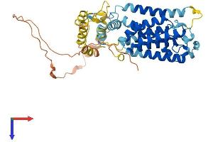 AlphaFold protein structure predicition of Human Recombinant RHBDL1 Protein, UniprotID O75783